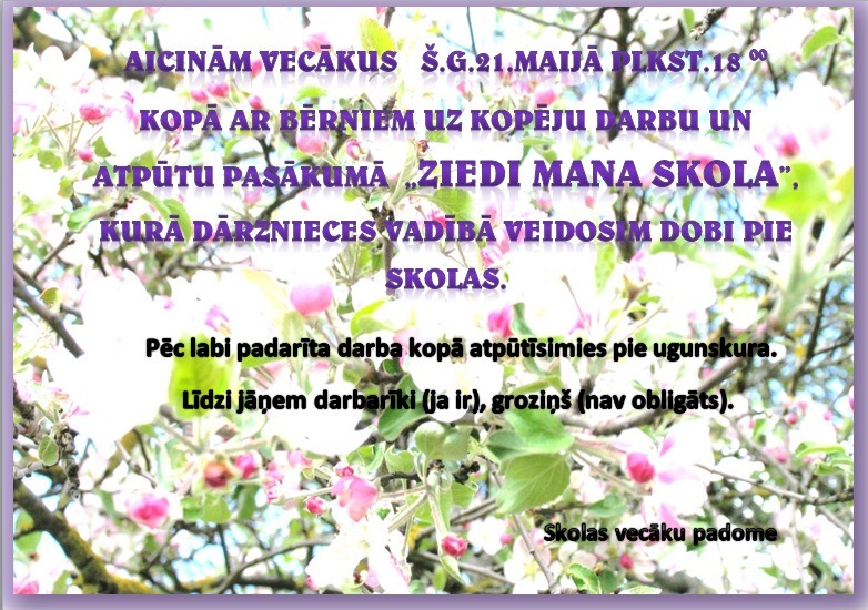 243. ziedi skolaa.jpg